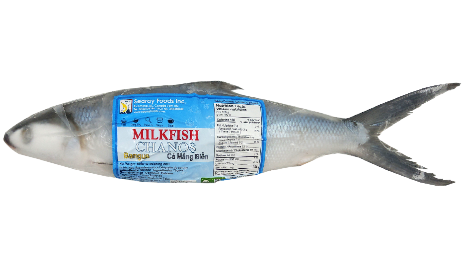 milkfish for tuna bait, milkfish for tuna bait Suppliers and