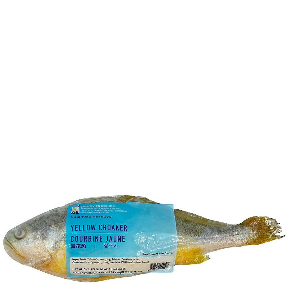 魚介類(加工食品) yellow Yellow Croaker – Searay Foods Inc