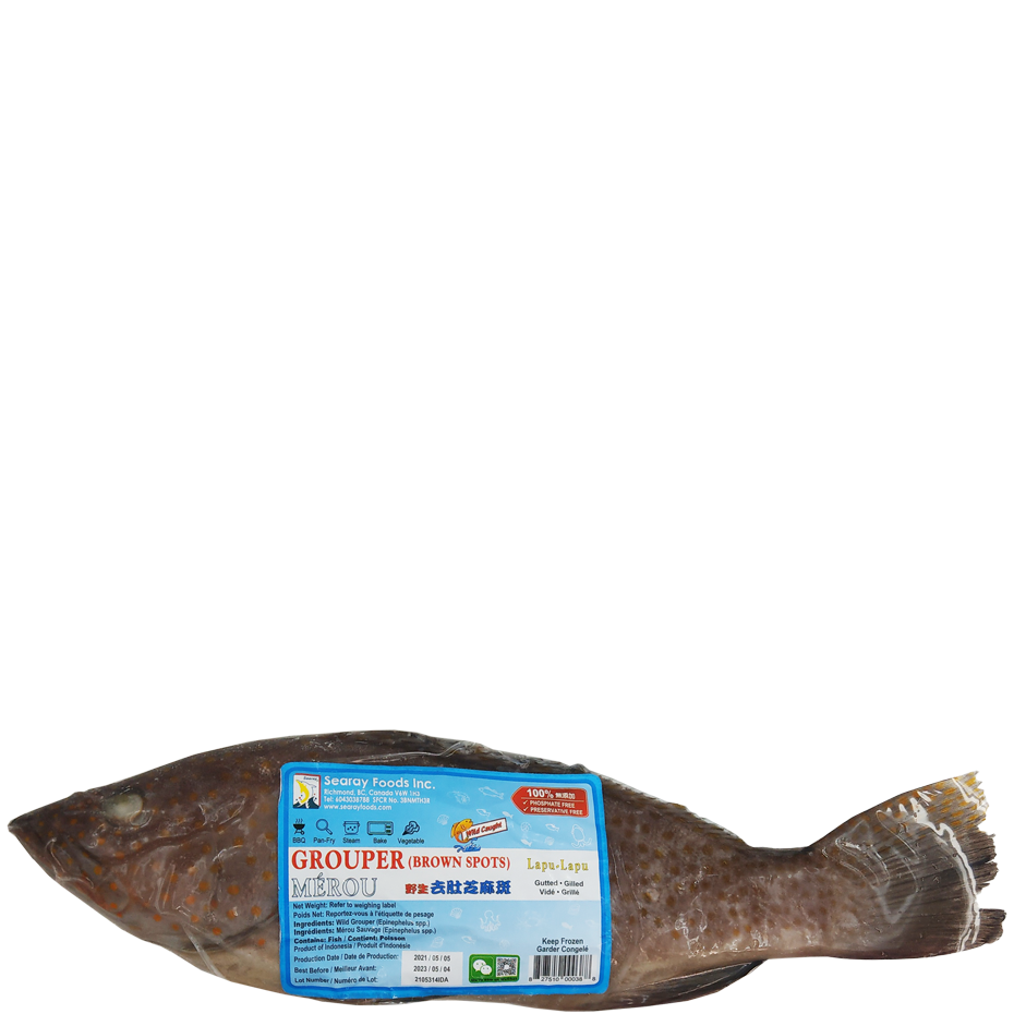 Grouper Brown Spots Searay Foods Inc