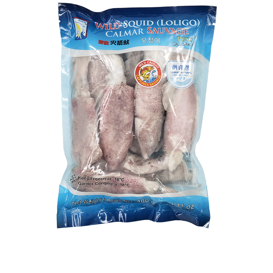 Squid Loligo - Image 2