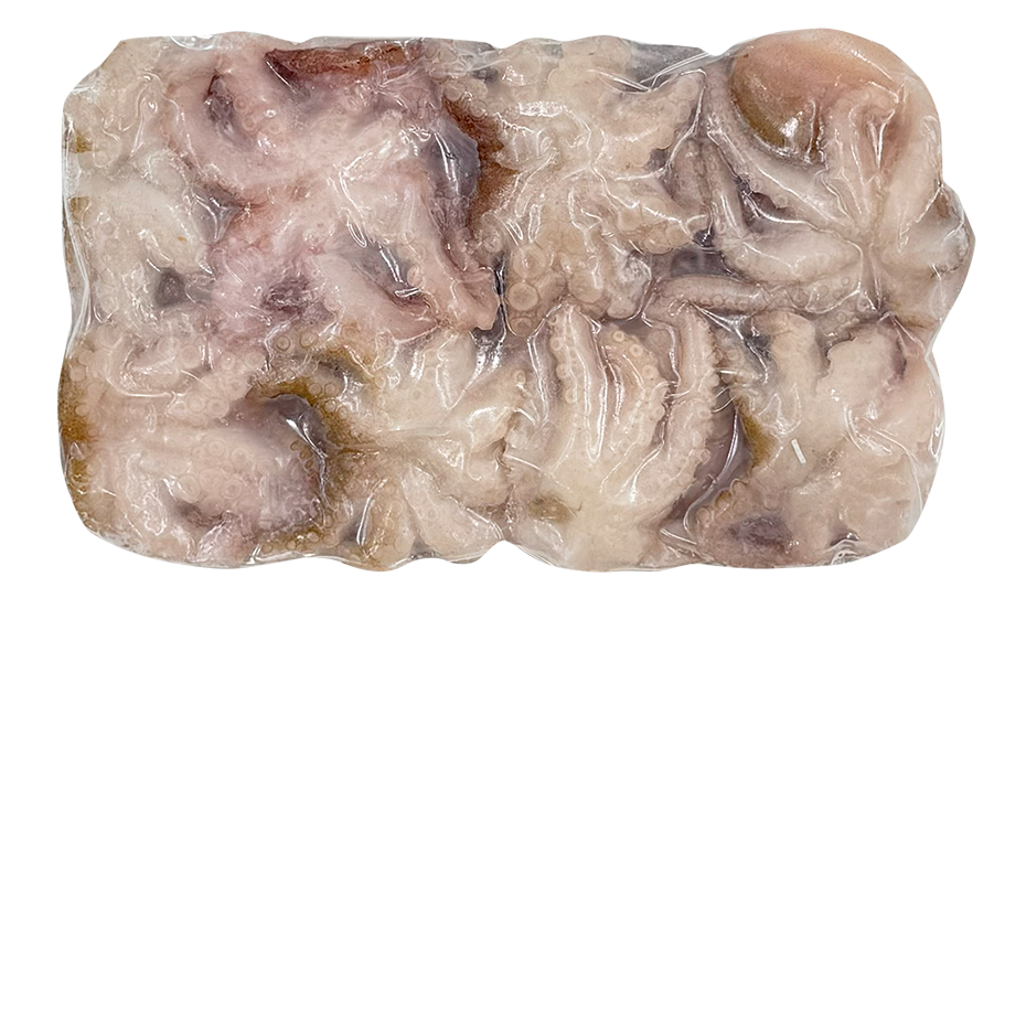 Baby Octopus - Image 4