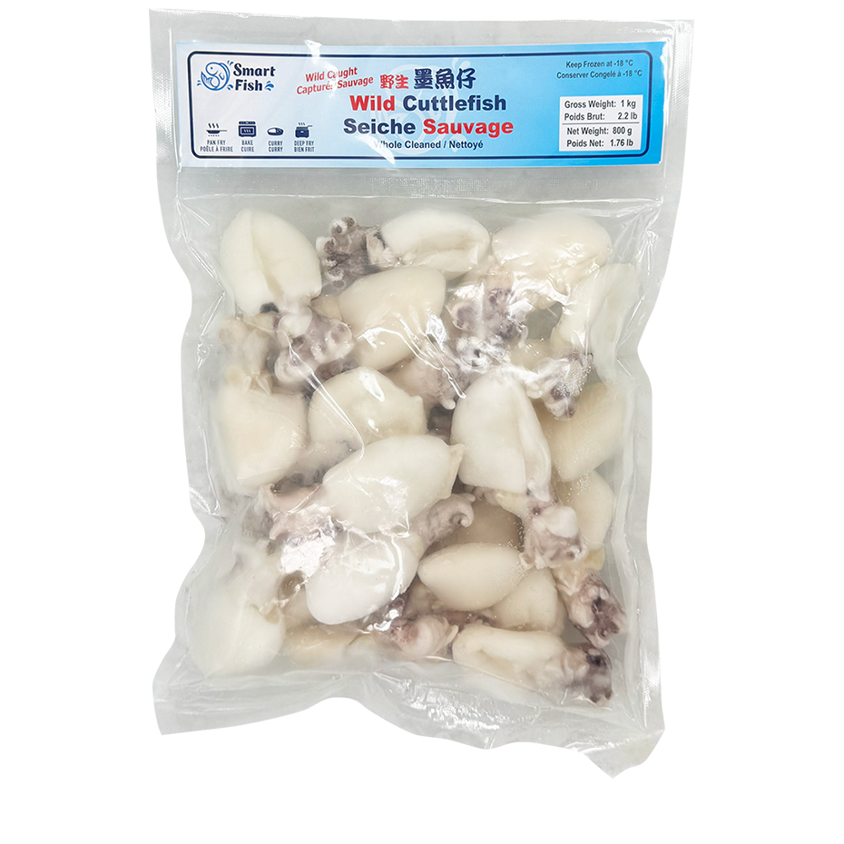 Baby Cuttlefish - Image 2