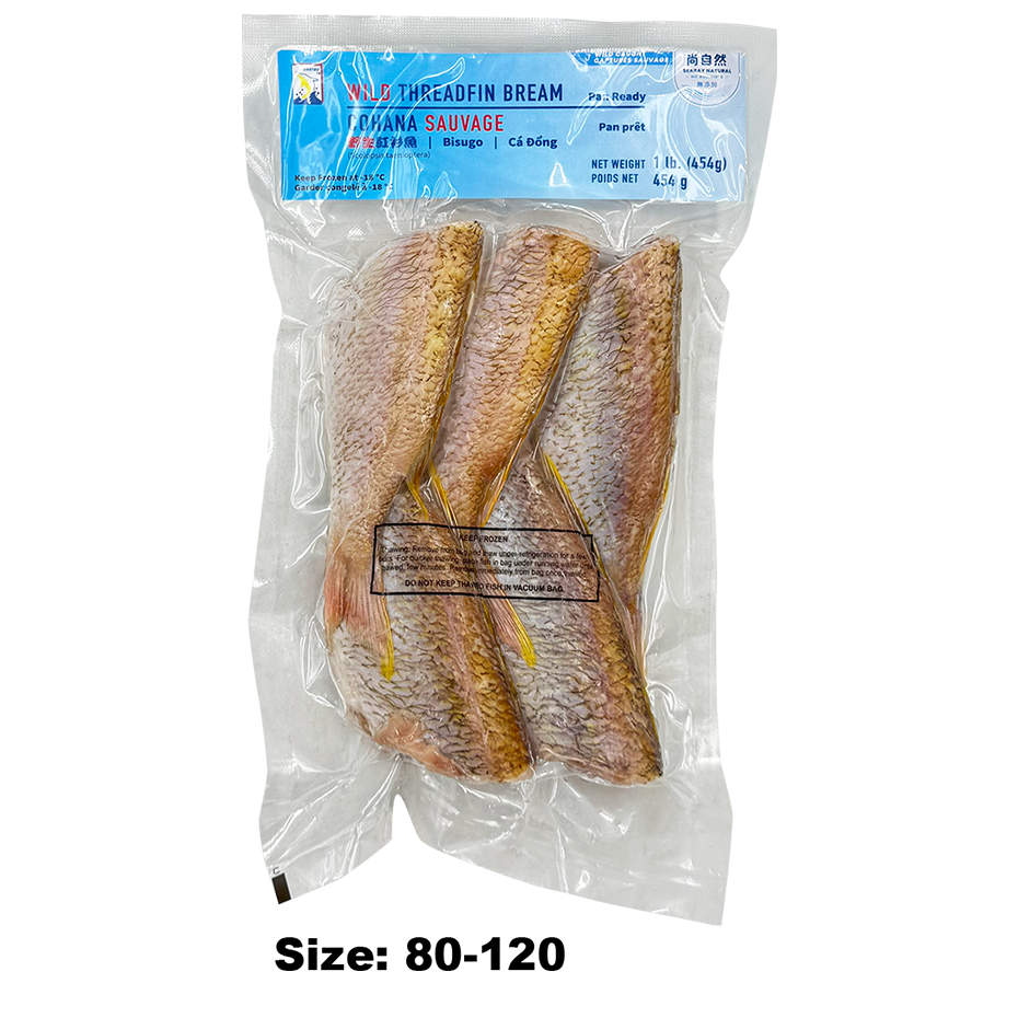 Threadfin Bream - Image 4