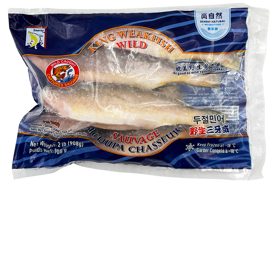 King Weakfish (Bangamary) - Image 2