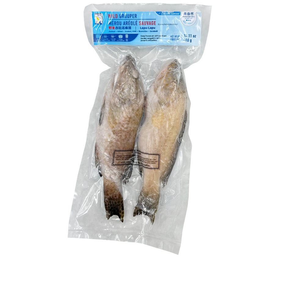 Grouper (Gutted | Gilled | Scaled) - Image 2